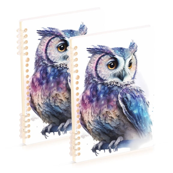 Colorful Owl Ring Binder Notebook Journey Note Diary College Ruled Spiral Notebook Study Loose Leaf Paper A5 60 Pages