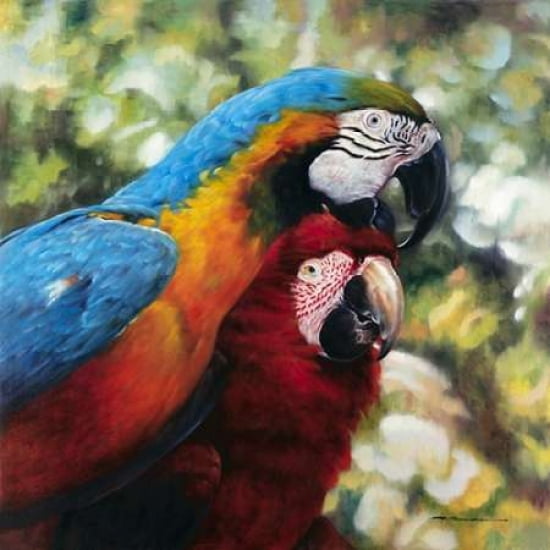 Colorful Pair Canvas Art - Arcobaleno (24 x 24)