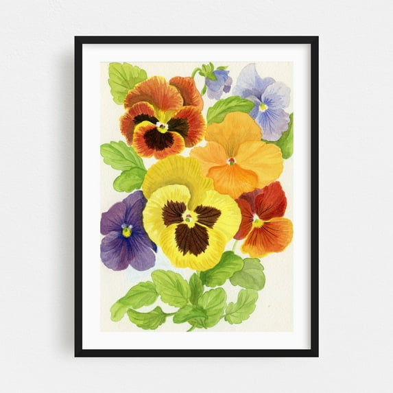 Colorful Pansies - Painting Floral Flowers Botanical Nature Art Deco Summer Black Framed Wall Art Print 20 x 30 inches