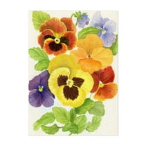 Colorful Pansies - Painting Floral Flowers Botanical Nature Art Deco Summer Unframed Wall Art Print 4 x 6 inches