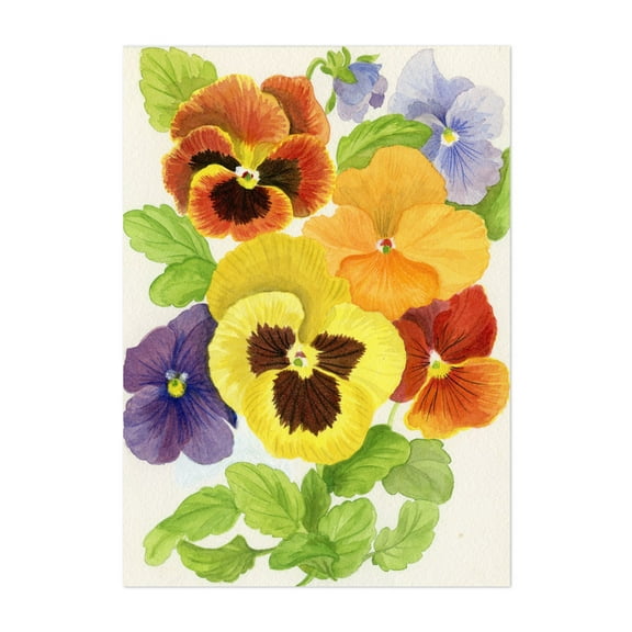 Colorful Pansies - Painting Floral Flowers Botanical Nature Art Deco Summer Unframed Wall Art Print 4 x 6 inches