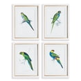 thumbnail image 1 of Colorful Parrot Prints, Set Of 4, 1 of 3