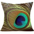 thumbnail image 1 of Colorful Peacock Feather Pillow Covers Cotton Linen Square Decorative Throw Pillow Case Abstract Feather Cushion Cover Home Sofa Decor Toss Pillow Pillowcases 18 x 18 Inches (PF#16), 1 of 3