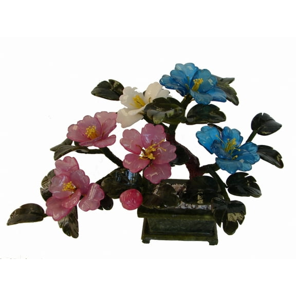 Colorful Peony Jade Plant, Jade Tree