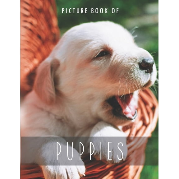 Colorful Picture Books for Alzheimer's P Picture Book of Puppies: for Alzheimer's Patients and Seniors with Dementia., (Paperback)