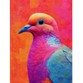 thumbnail image 1 of Colorful Pigeon Canvas Print Living Study Hallway Decor, 1 of 8
