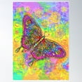 thumbnail image 1 of Colorful Psychedelic Rainbow Paisley Bohemian Butterfly Poster Wall Art, Modern Wall Decor For Living Room Bedroom, 16x24 UNFRAMED, 1 of 2