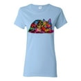 thumbnail image 1 of Colorful Rainbow Cat Animal Lover Womens Graphic T-Shirt, Light Blue, Small, 1 of 3