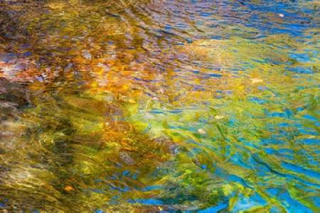 Colorful Reflections I Canvas Art - Kathy Mahan (12 x 18)