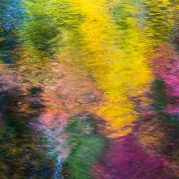 Colorful Reflections IV Poster Print by Kathy Mahan (12 x 12)