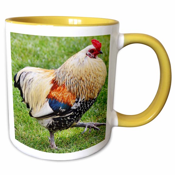 3drose, Colorful Rooster., 11oz Two-tone Yellow Mug