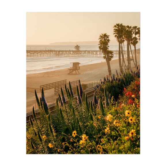 Colorful San Clemente - San Clemente California Photography Beach Coast Sunset Palm Tree Seascape Tropical Flowers Unframed Wall Art Print 16 x 20 inches