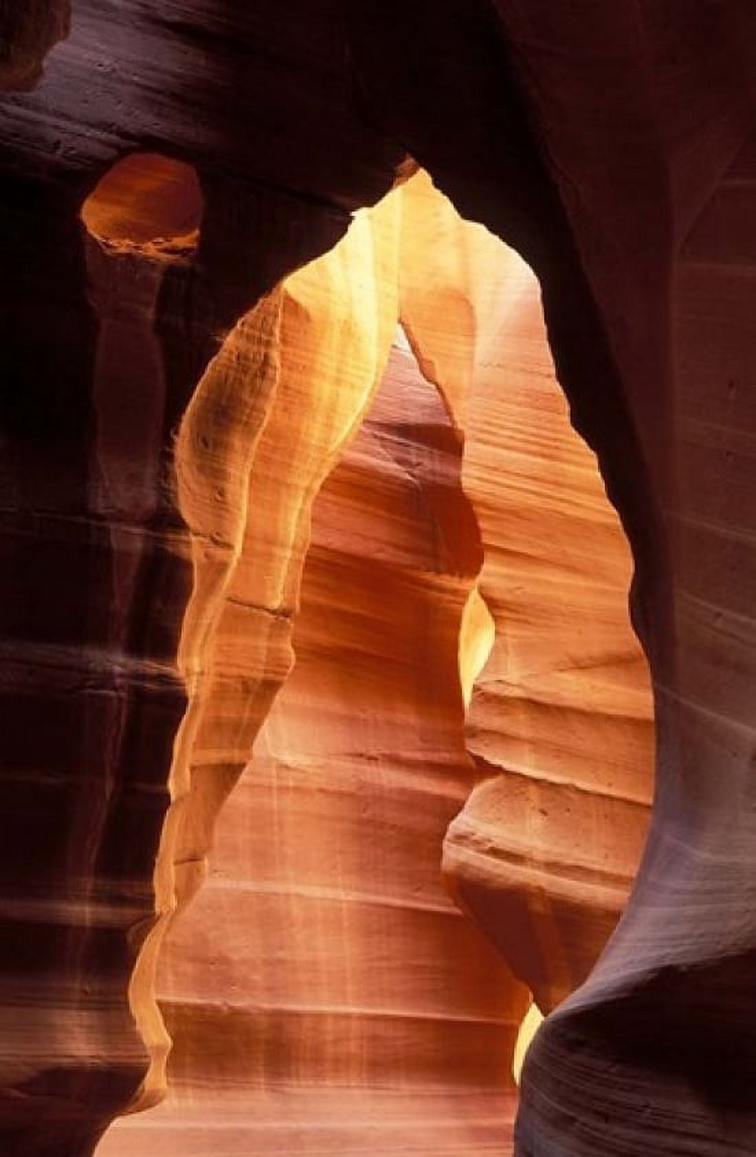 Colorful Sandstone in Antelope Canyon near Page Arizona Canvas Art - Diane Johnson DanitaDelimont (11 x 17)
