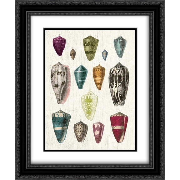 Colorful Shell Assortment I 2x Matted 20x24 Black Ornate Framed Art Print by Wild Apple Portfolio