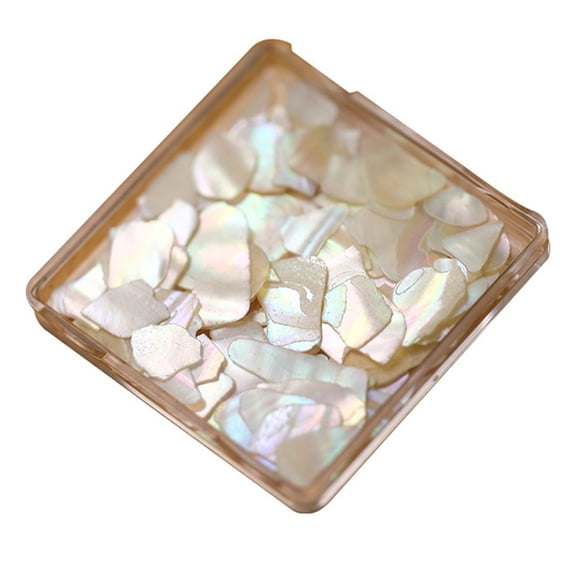 Colorful Shell Flakes Nail Body Art Face Gems Festival Costume Craft Nail Art Decorations Colorful Shell Stone Nail