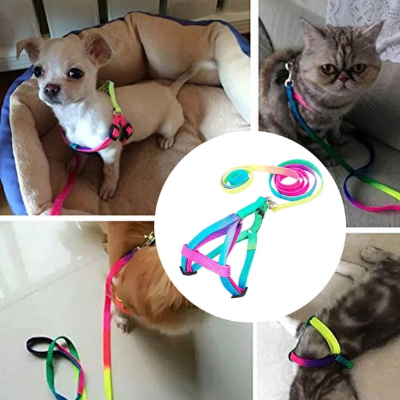 Colorful Step In Breakaway Dog Harness And Leash Set For Small Medium Large Dogs Adjustable Nylon Walking Training Running Kit Without Harness Color Restrictions