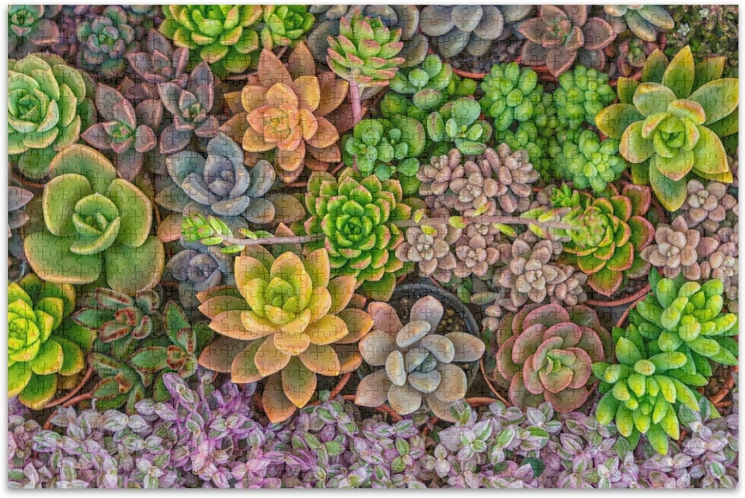 Buffalo Games - - Buffalo Games - Peter Stewart - Cinque Terre - 1000 Piece Jigsaw Puzzle For Adults - Challenging Puzzle Perfect For Game Nights - Finished Size Is 26.75 X 19.75