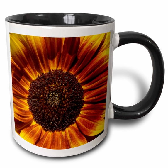 3drose, Colorful Summer Sunflower Flowers Flower Photography, 15oz Two-tone Black Mug