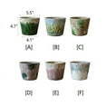 thumbnail image 1 of Colorful Terracotta Pot, 1 of 12