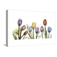 thumbnail image 1 of Colorful Tulip Scape Albert Koetsier XRay Flowers Photo Stretched Canvas Print Wall Art by Albert Koetsier Sold by Art.Com, 1 of 4