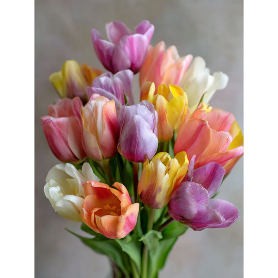Colorful Tulips Floral Canvas Print Wall Art for Living Room Bedroom Kitchen Office Hallway