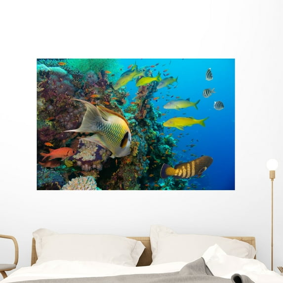 Colorful Underwater Reef with Wall Mural Decal Sticker, Wallmonkeys Peel & Stick Vinyl Graphic (48 in W x 32 in H)