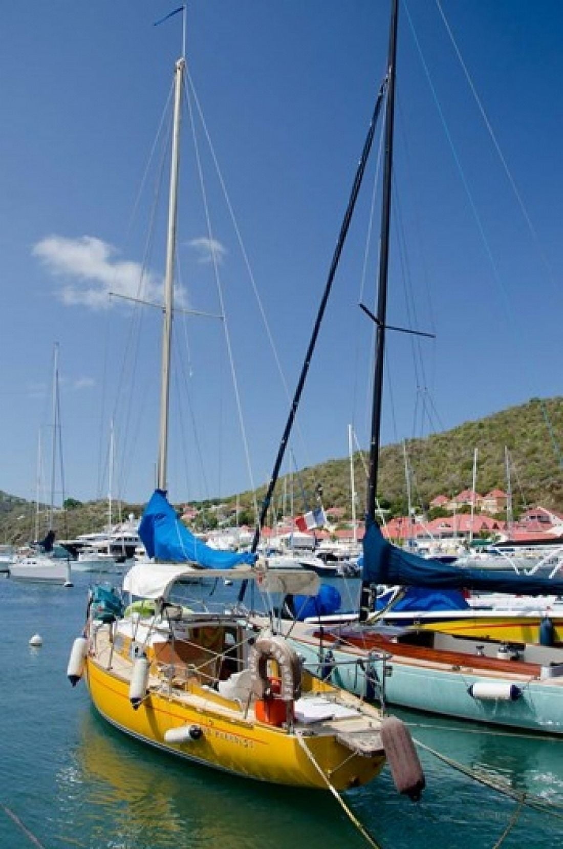 Colorful boats Gustavia Shell Beach St Barts West Indies Canvas Art - Cindy Miller Hopkins DanitaDelimont (24 x 36)