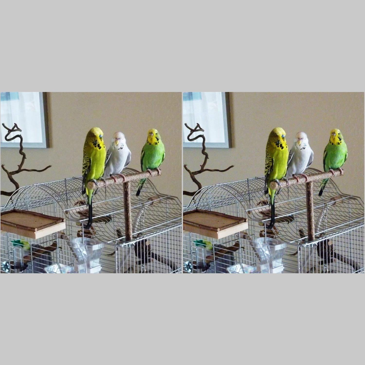 Picture of Parrot ASTEROID Mini In-car multimedia system with Bluetooth® at ...