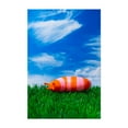 thumbnail image 1 of Colorful slug on grass - Photography Surrealism Nature Whimsical Insect Modern Art Pop Art Unframed Wall Art Print 24 x 36 inches, 1 of 60
