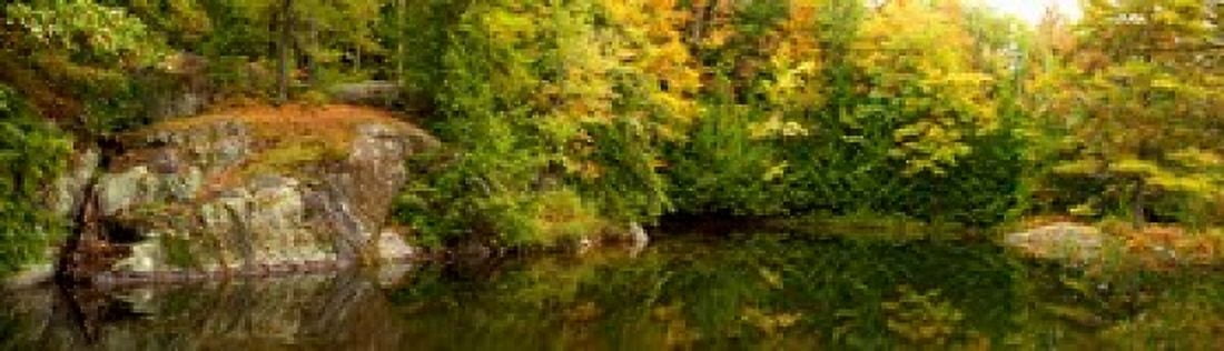 Colorful trees and rocks along the Musquash River Muskoka Ontario Canada Canvas Art - Panoramic Images (40 x 12)