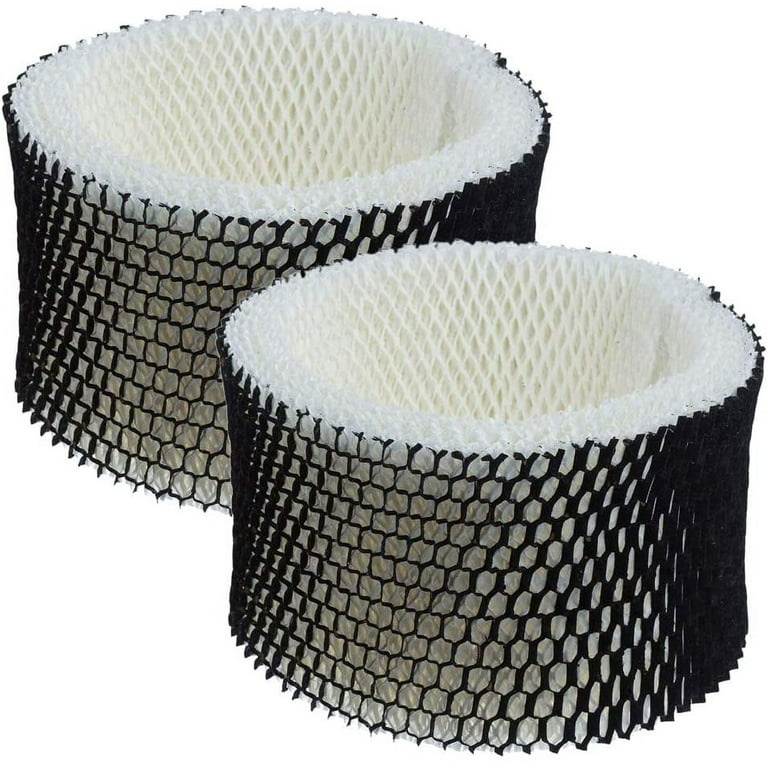 Colorfullife 2 Pack Filters Compatible with Holmes Sunbeam
