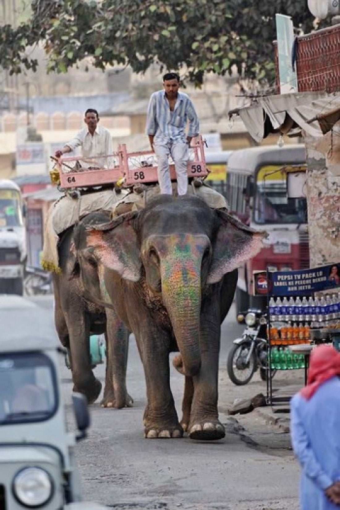 Colorfully decorated elephant Amber Fort Jaipur India Canvas Art - Adam Jones DanitaDelimont (23 x 35)