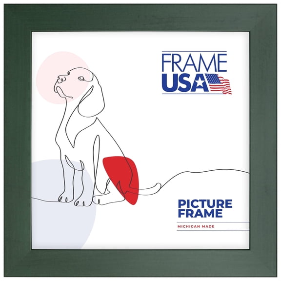 24x24 Picture Frame Green Colori Wide, 74026, 2 Inch MDF, Plexiglass, Wall Display