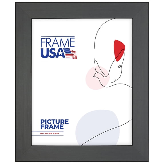 14x19 Picture Frame, Black Colori Medium Style 26020, 1.25 Inch MDF with Plexiglass, Wall Display