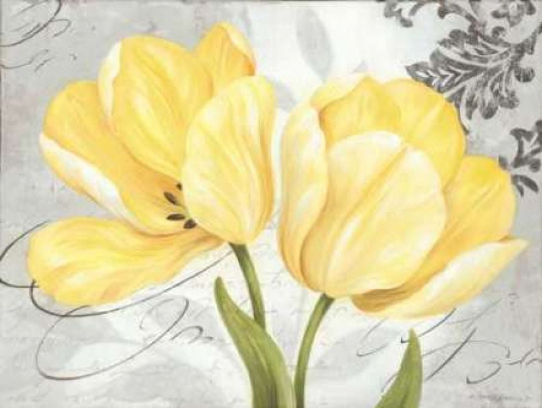 Colori Yellow II Canvas Art - Pamela Gladding (18 x 24)