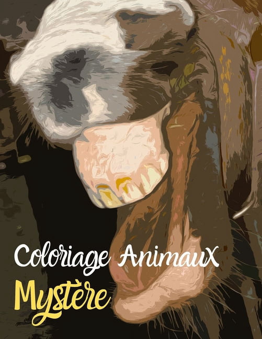 Coloriage animaux MystÃ¨re: Coloriage animaux de la forÃªt - Magique pour Adulte, (Paperback)
