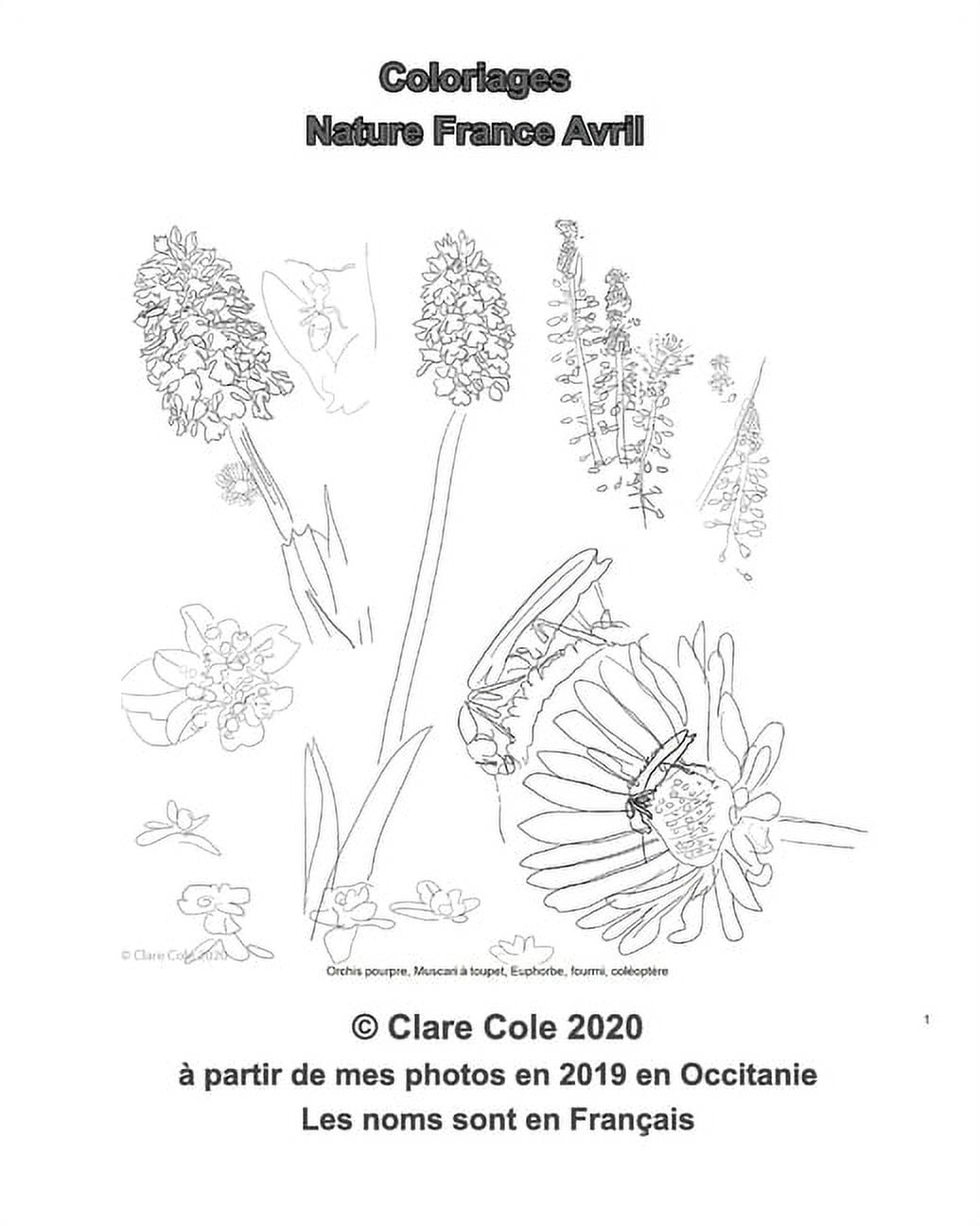 Coloriages Nature France Avril Noms En Fran ais Flore Et Faune D fran-ais