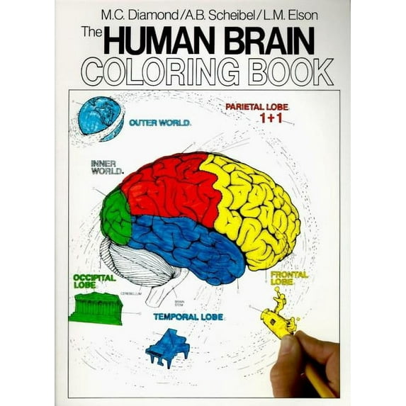 Coloring Concepts The Human Brain Coloring Book, (Paperback)
