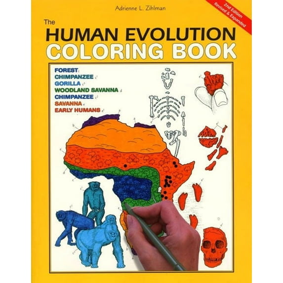 Coloring Concepts The Human Evolution Coloring Book: A Coloring Book, (Paperback)
