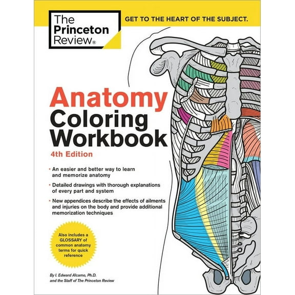 Coloring Workbooks Anatomy Coloring Workbook, 4th Edition: An Easier and Better Way to Learn Anatomy, (Paperback)