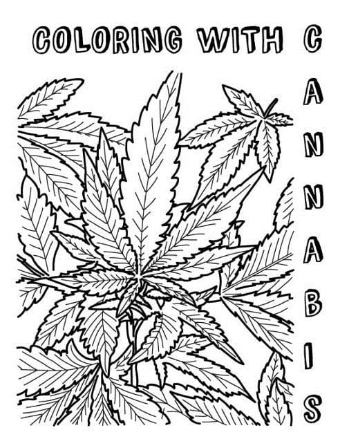 Coloring with Cannabis: An Adult Coloring Book (Paperback) - Walmart.com