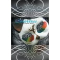 thumbnail image 1 of Colorless, (Paperback), 1 of 1