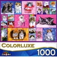 thumbnail image 1 of Colorluxe 1000 Piece Puzzle - Kittens II, 1 of 2