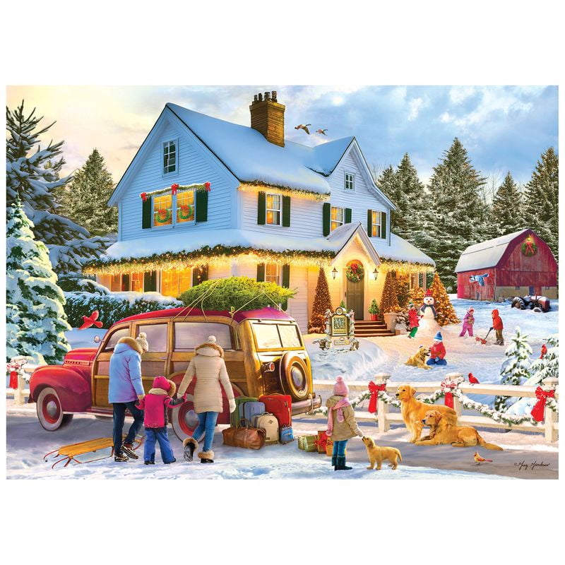 Colorluxe 1000pc - winter at home