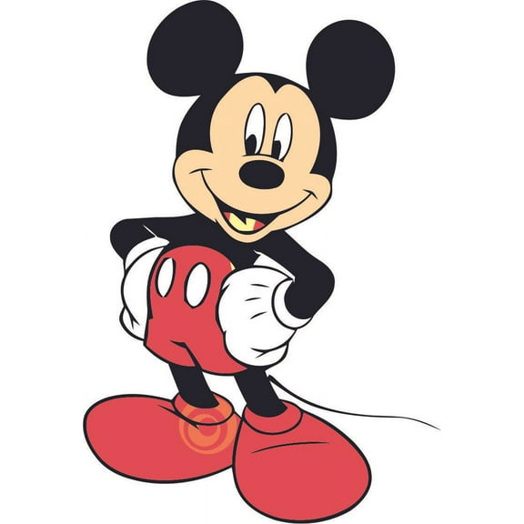 Colors Cartoon Characters TV Show Toddler Toddlers Baby Babies Boy Girl Nursery Design Wall Decals for Bedroom Children's Vinyls Kids Vinyl Art Decal Walls Rooms Size (30x15 inch)