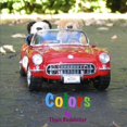 thumbnail image 1 of Colors, (Paperback), 1 of 1