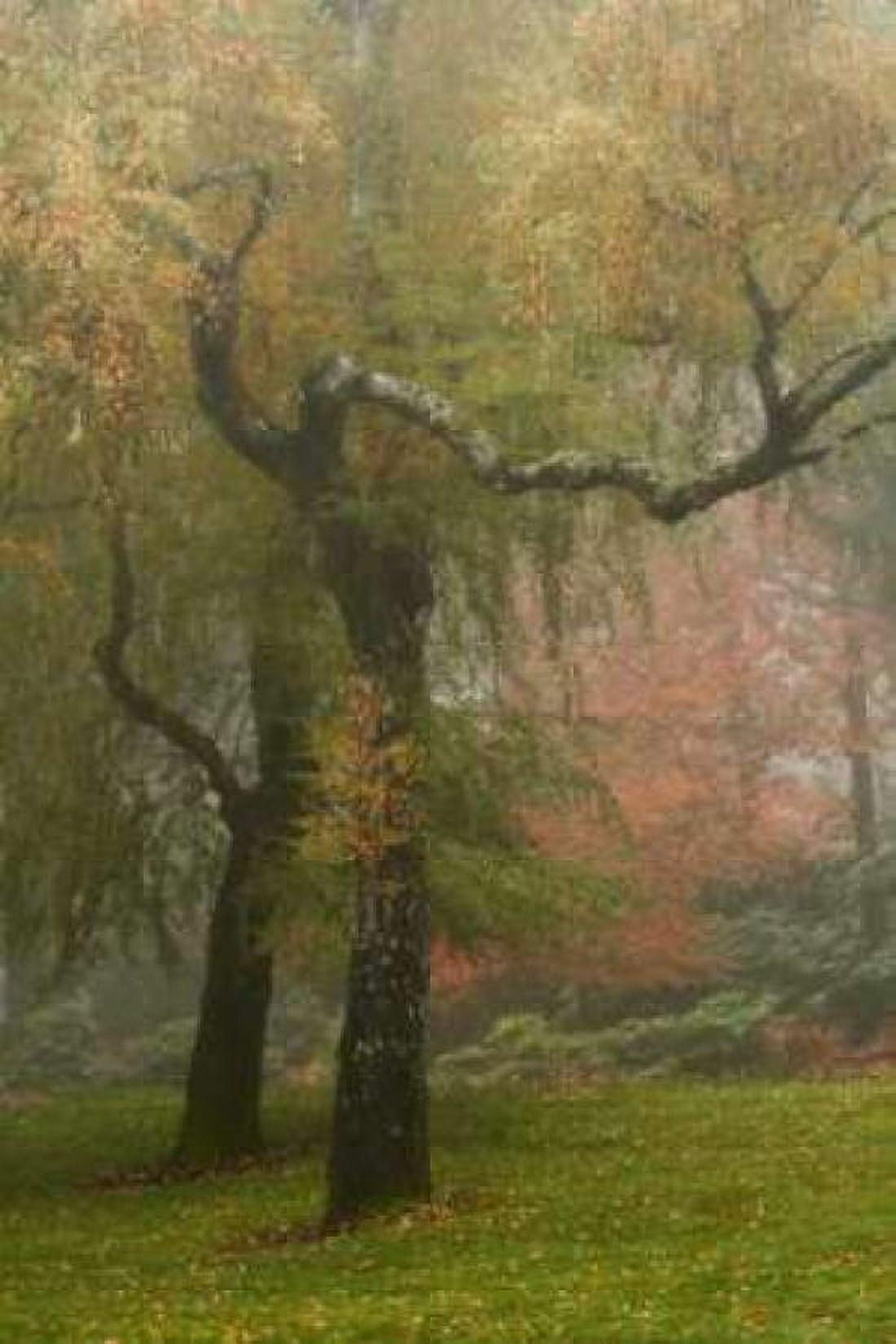 Colors in the Mist VI Canvas Art - Vitaly Geyman (12 x 18)