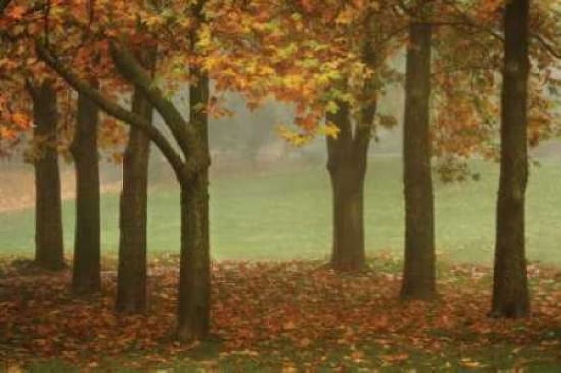 Colors in the Mist VII Canvas Art - Vitaly Geyman (24 x 36)