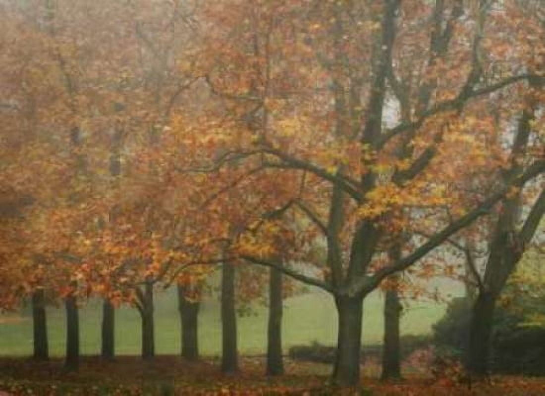 Colors in the Mist VIII Canvas Art - Vitaly Geyman (18 x 24)