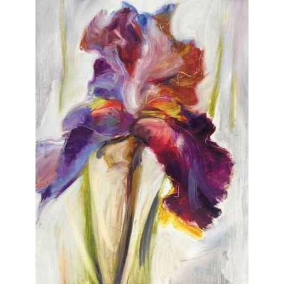 Colors of Iris I Canvas Art - Maria Zielinska (22 x 28)